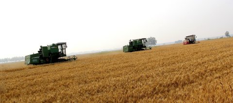 小麦收割机市场遭遇滑铁卢 行业寒冬下的挑战与反思