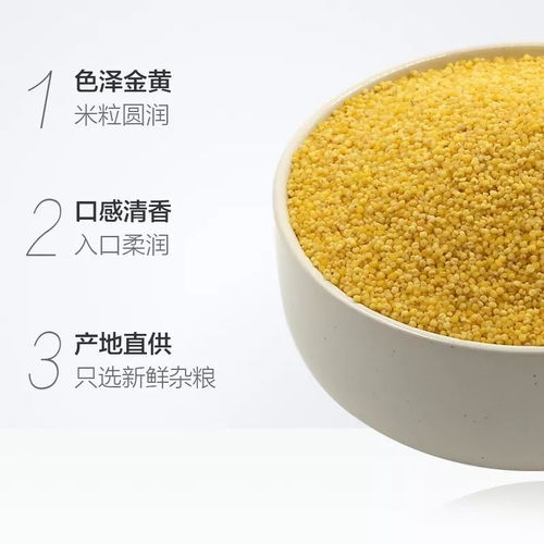 19.9元限时预售！前1000份抢400g*3袋“谷物软黄金”，产地新鲜直供