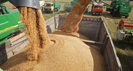 欧盟关税壁垒下的俄罗斯谷物贸易博弈