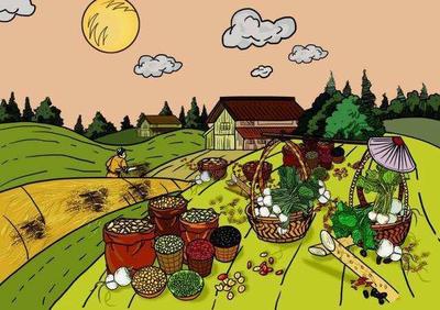 解决农产品交易大问题——标准化合约如何重塑谷物销售格局