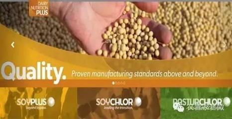 农业合作社的力量 美国如何应对谷物滞销挑战