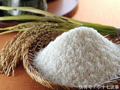 荆门市米业公司优秀企业推荐——聚焦谷物销售领域的佼佼者